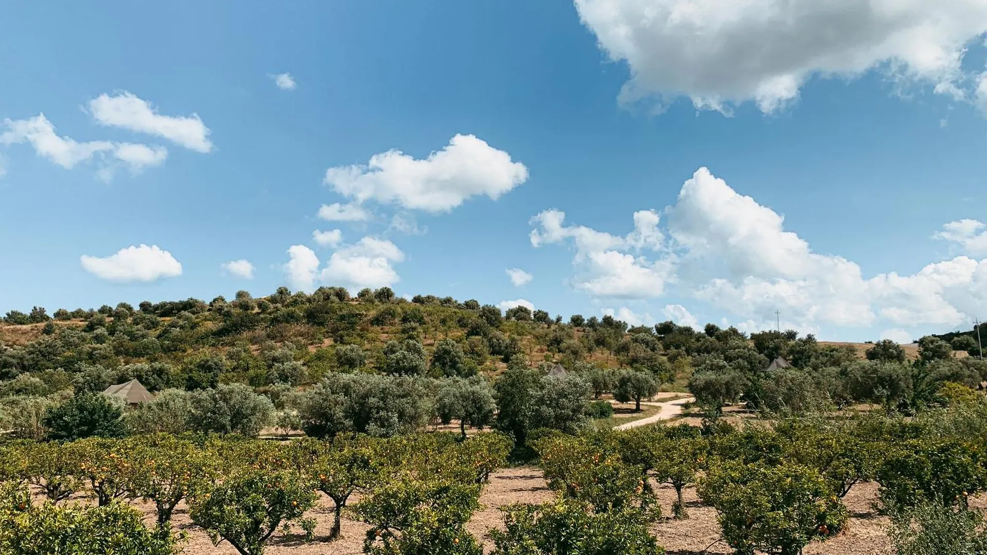 Lodge Villa Iuta Farm à Noto